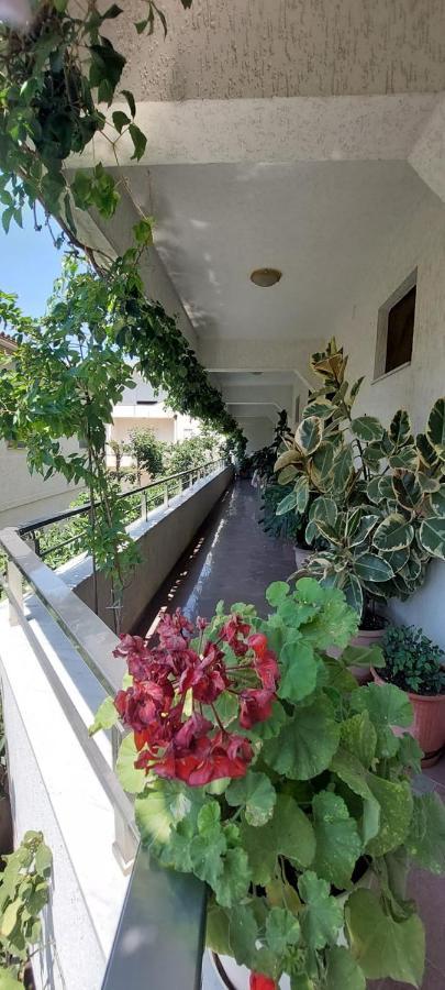 Villa Madani Durres Ngoại thất bức ảnh