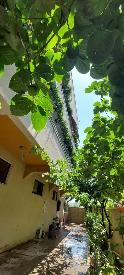 Villa Madani Durres Ngoại thất bức ảnh