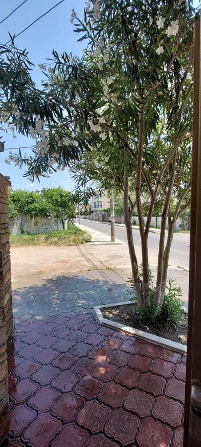 Villa Madani Durres Ngoại thất bức ảnh